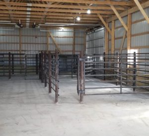 Daniels Double Cattle Alleyways and Panels